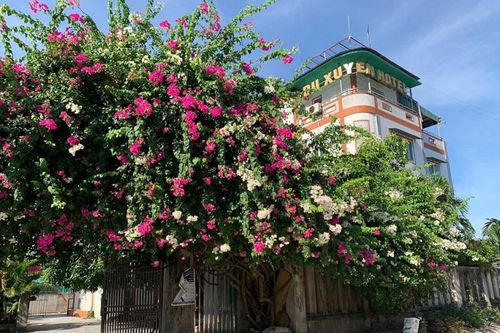 Thanh Hóa: nhiều bất cập tại khu du lịch sinh thái biển Du Xuyên