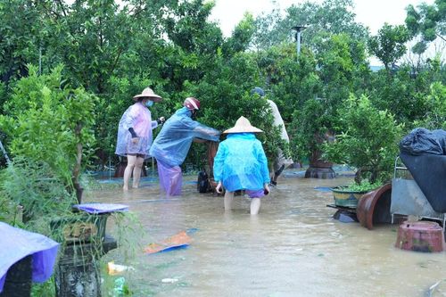 Quận Tây Hồ: tập trung hỗ trợ nông dân bị ảnh hưởng do bão số 3