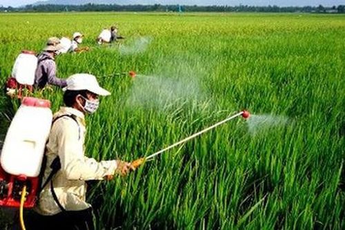 Đề xuất Danh mục thuốc bảo vệ thực vật được phép sử dụng tại Việt Nam