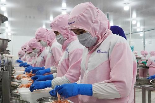 Đồng bằng sông Cửu Long: Nỗ lực gỡ khó cho ngành hàng tôm