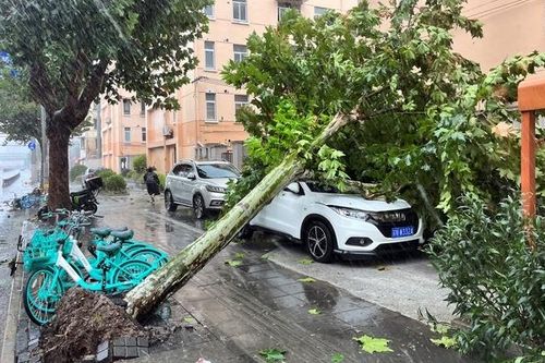 Bão Bebinca đổ bộ Trung Quốc khiến nhiều khu vui chơi, giải trí phải đóng cửa