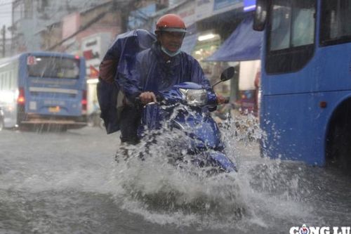 Áp thấp nhiệt đới có khả năng mạnh lên thành bão, TPHCM chuẩn bị biện pháp ứng phó