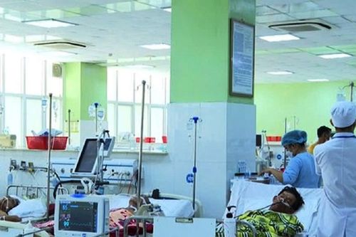 2 vợ chồng ở Quảng Ngãi phải nhập viện do ăn cá chứa độc