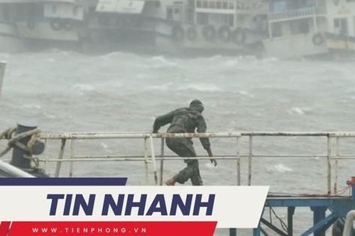 TIN NHANH: Bão số 4 đổ bộ đất liền khi nào?