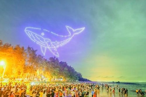 Xếp hình cá Ông bằng 250 máy bay không người lái trên bầu trời Cần Giờ