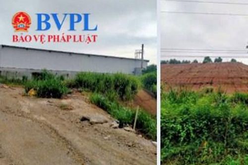Nỗi lo của người dân bên trang trại bò nghìn tỉ