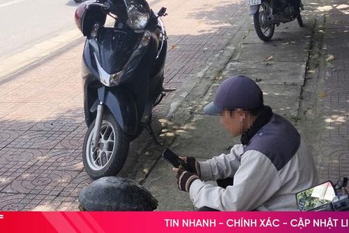 Bày bán rùa răng trên vỉa hè các tuyến đường ở TP Hà Tĩnh