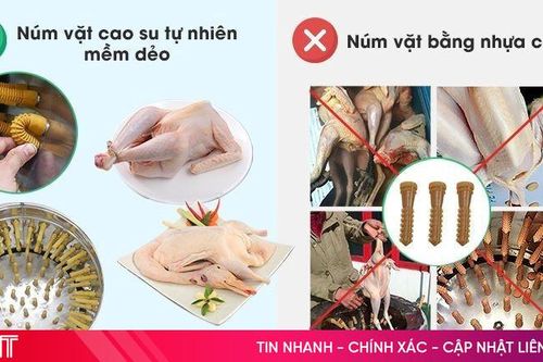 Top 4 máy vặt lông gà mini cho hộ gia đình và quán ăn