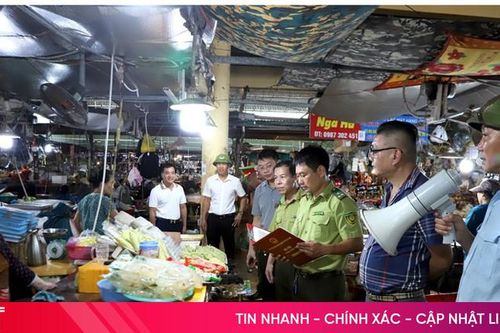 TP Hà Tĩnh kiên quyết xử lý nạn săn bắt chim trời, bảo vệ hệ sinh thái