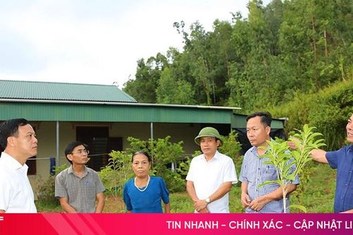 Thạch Hà sẵn sàng phương án '4 tại chỗ' phòng chống mưa lũ