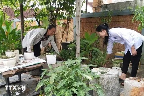 Hà Nội tập trung xử lý môi trường, phòng, chống dịch bệnh sau bão, ngập