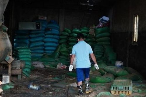 Xót xa trang trại gà còn lại sau lũ, lão nông Hà Nội mất trắng hàng chục tỷ đồng