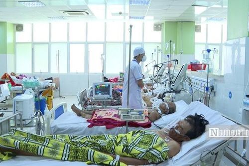 Hai vợ chồng nhập viện cấp cứu sau khi ăn cá nóc