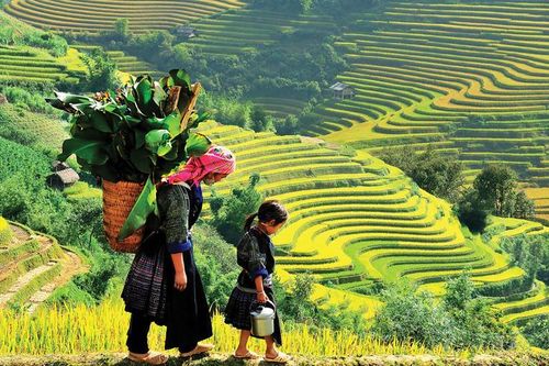 Doanh nghiệp thực hành ESG để phát triển du lịch bền vững