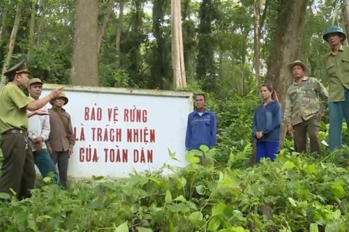 Các dự án IKI đóng góp quan trọng vào mục tiêu phát triển bền vững của Việt Nam