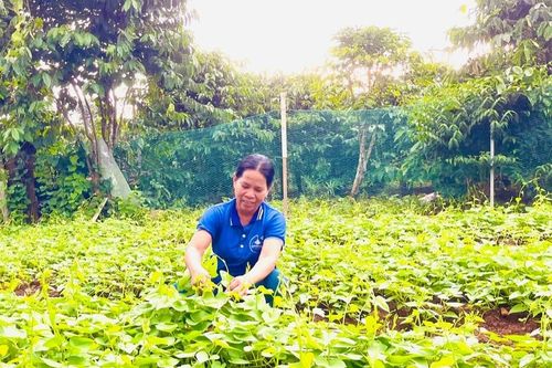 Chi bộ làng Bông Phun phát huy vai trò 'hạt nhân' lãnh đạo