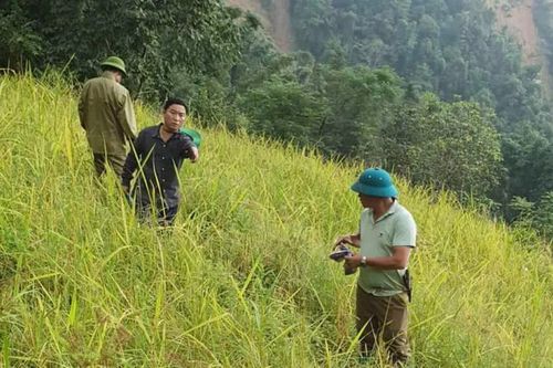 Di chuyển khẩn cấp 32 hộ dân thôn Khu Tủng, xã Bản Liền ra khỏi vùng có nguy cơ sạt lở
