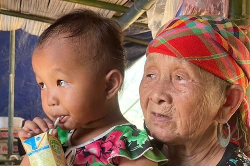 Thành lập 4 tổ công tác hỗ trợ tư vấn, hướng dẫn thủ tục hồ sơ cho đối tượng bị ảnh hưởng cơn bão số 3