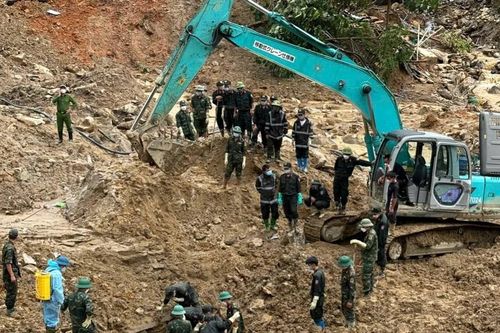Sử dụng chó nghiệp vụ của biên phòng tìm kiếm người mất tích ở Nậm Tông
