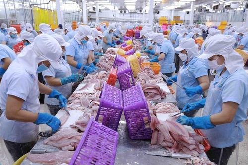 Thương vụ Việt Nam tại Pakistan cảnh báo thủ đoạn lừa đảo mới trong buôn bán quốc tế