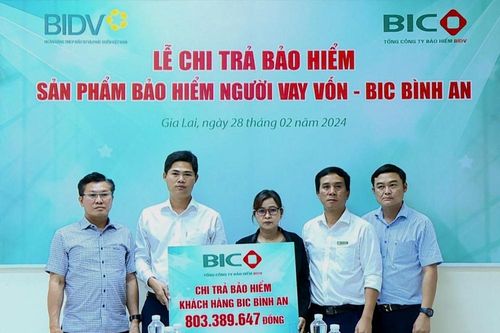 Tập trung mọi nguồn lực hỗ trợ khách hàng khắc phục hậu quả sau bão