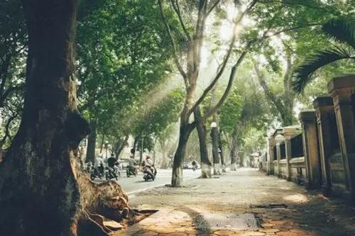 Dịu dàng thu đến