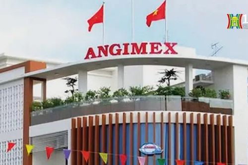 Angimex giải trình việc cổ phiếu tăng trần 5 phiên liên tiếp