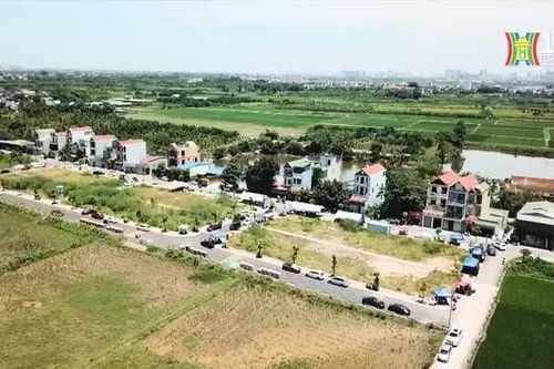 Xử lý nghiêm hành vi bỏ cọc trúng đấu giá đất