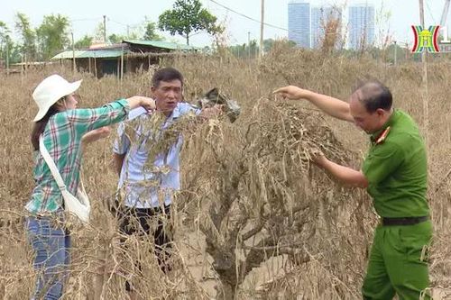 Sát cánh cùng người dân khắc phục hậu quả bão số 3
