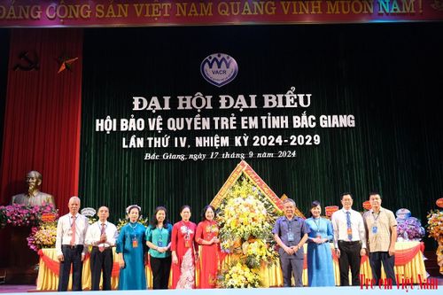 Hội Bảo vệ quyền trẻ em Bắc Giang 'đoàn kết, đổi mới, sáng tạo, cống hiến' vì trẻ em