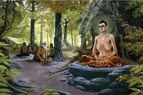 Cẩn trọng khi 'sùng bái' hạnh đầu đà