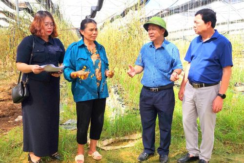 Liên minh Hợp tác xã tỉnh động viên các đơn vị bị thiệt hại do bão số 3