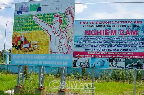 Quyết tâm bảo vệ nguồn lợi cá đồng