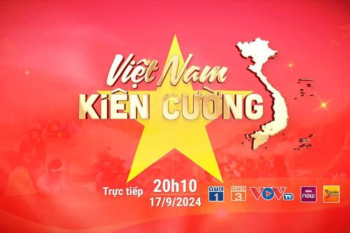 Chương trình nghệ thuật 'Việt Nam kiên cường' vì đồng bào vùng lũ