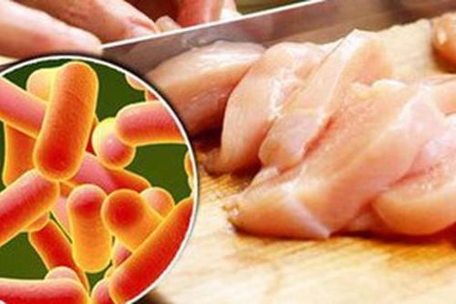 Cách nhận biết tiêu chảy do vi khuẩn và biện pháp điều trị