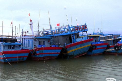 Quảng Nam tạm dừng tàu thuyền ra đảo Cù Lao Chàm