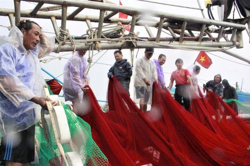 Quảng Ngãi: Cấm tàu thuyền ra biển hoạt động từ 12h ngày 18/9