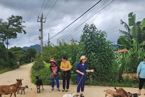 Trao 'cần câu' giúp người nghèo vươn lên