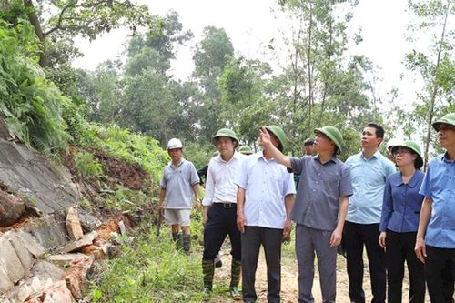 Phát hiện sạt trượt trên núi Y Sơn, tỉnh Bắc Giang công bố tình huống khẩn cấp