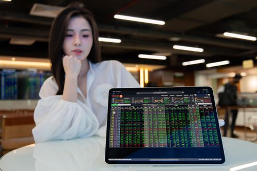 Không cập nhật thông tin trước 1/10 sẽ bị dừng giao dịch online