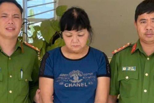 'Nữ quái' có 3 tiền án Trộm cắp tài sản lại 'ngựa quen đường cũ'