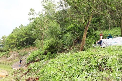 Bắc Giang công bố tình huống khẩn sự cố sạt lở núi Y Sơn