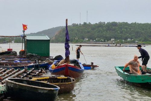 Nghệ An: thông báo tàu thuyền chủ động tránh trú, neo đậu an toàn