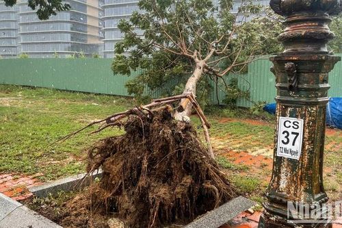 Tập trung ứng phó áp thấp nhiệt đới có khả năng mạnh lên thành bão và mưa lũ