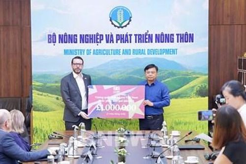 Tiếp nhận hỗ trợ khẩn cấp của các nước, tổ chức quốc tế khắc phục hậu quả bão số 3