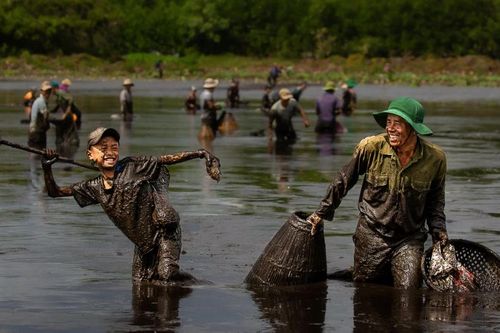 Một số tác phẩm gửi dự thi sau 10 ngày công bố