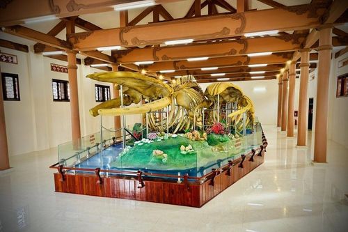 Soi hai bộ xương cá voi ở Lý Sơn vừa xác lập kỷ lục