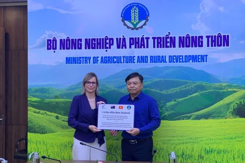 Cộng đồng quốc tế cam kết tiếp tục hỗ trợ Việt Nam khắc phục hậu quả bão số 3