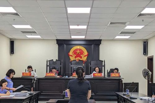 Tòa án trả hồ sơ để điều tra bổ sung vụ án nữ Giám đốc bị cáo buộc lừa đảo 20 tỷ đồng