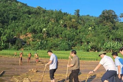 Chính phủ: Miễn giảm thuế phí, lãi vay cho người dân và doanh nghiệp sau bão